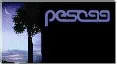 PESC '99 Logo